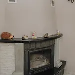 фенікс Yaremtche